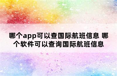 哪个app可以查国际航班信息 哪个软件可以查询国际航班信息